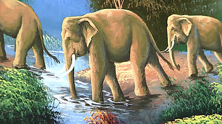 Lovely teen fucked and sprayed with load by black dude