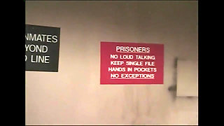 A big solid cock for a hot bitch