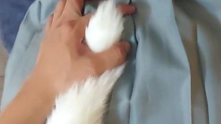 Schoolgirl Fucking Her with a Foxtail in the Ass