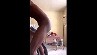 Hot Big Black Latina booty Black and Ebony