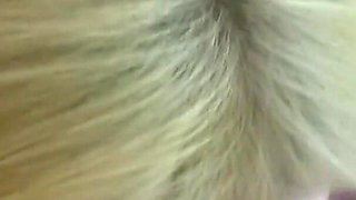 Lacey masturbates and then gives a swallow blowjob