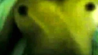 Big-Breasted Indonesian Amateur Babe