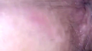 Insemination at User Meetings