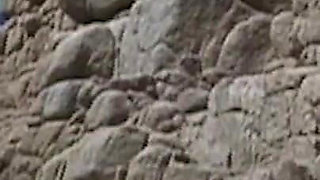 They Fuck Uninhibitedly on the Beach