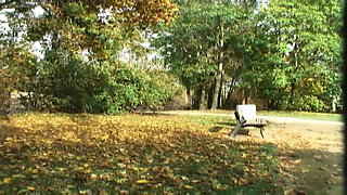 Teenenger Fucked in the Park and Squirted in Mouth