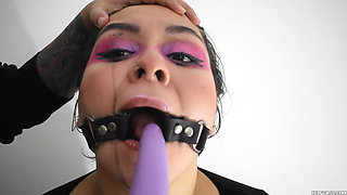 Slut Training in Progress