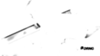 Roxy Dee, Ginger Fox & Jenna Clarke Mini Orgy With 3 Guys Rs