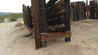 Desert Cow Pen Cum 3