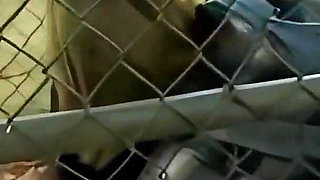 Nights of Passion for Two Couples in Search of Orgasm