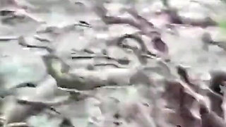 WildEnglishBBW BBC Nata4sex - Drilling my pussy outdoor doggy cumshot