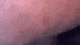 Bhabhi Sucked Brother in Law's Dick