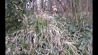 Amazons on the Hunt for Cocks and Sucking
