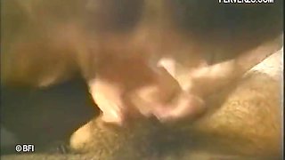 Big Boobed Sluts Love Getting Dicked Down With Kinky Babes