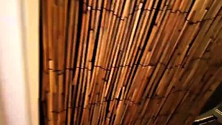 Autumn Flowers – Home Alone With My Horny Sister