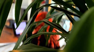 Kim, 41, an unreal milf from Reims! - Jacquie et Michel TV