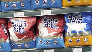 Showing off Around Sao Paulo and Sucking Several Different Cocks