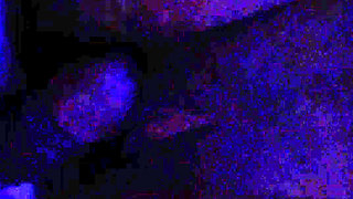 She asks me to take her to a motel