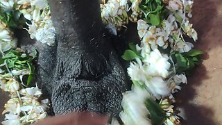 Marathi Aunty Handjob with Flowers to Her Stepbrother