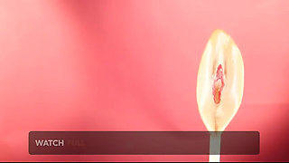 Pussylolly