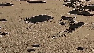 Beach Handjob: Beauty in Bikini Makes Him Get a Huge Cumshot at the Beach