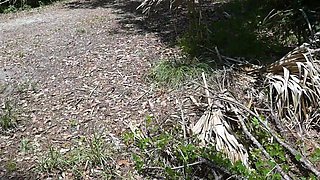 Full Public Day Video
