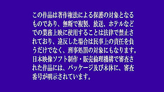 Narumi Ayase - 2 Days 1 Night Hot Spring Adulterous Trip