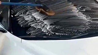 Carwash: Soap, Suds & Seduction