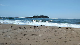 A fantastic pee on the beach