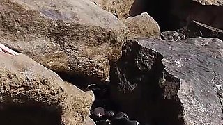 Cock on the Rocks