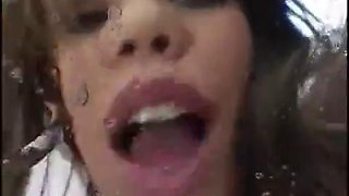 Gia paloma