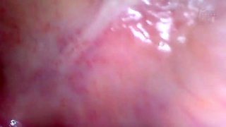 x2x137B0A57D21B17F759