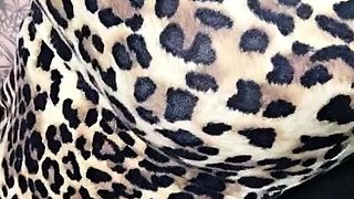 Glamour babe with big boobs masturbates in lingerie