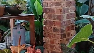 Fucking My Neighbours Wife Outdoor on the Patio
