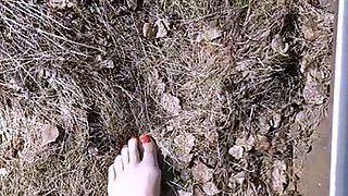 Frejas Submissive Feet aka frejassubmissivefeet OnlyFans -