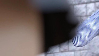 Laura Lustful Secrets (part 57 New Update)