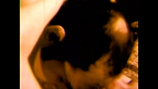 Lustful and Hot House