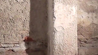 Jenny and Veronica Bound Together