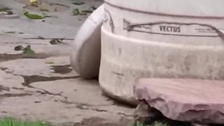 Cheating Housewife:- Indian Housewife Fucking with Her Boyfriend