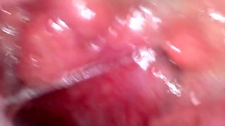 x2x137B0A57D21B17F759