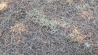 outdoor masturbation in a parking lot