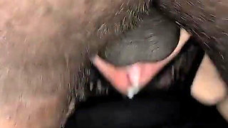 Creampie to Facial Finale