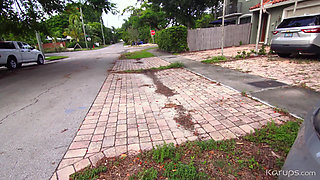 Grateful Little Guest