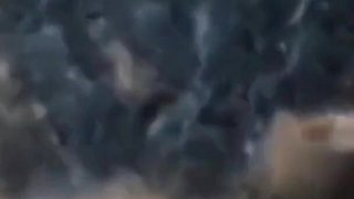 Bbbwbootyful BBC Nata4sex amazing pussy licking squirt POV