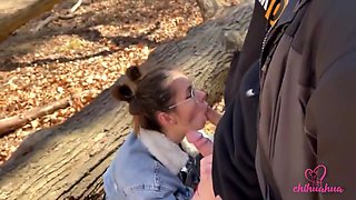 Vlog Chihuahua. Dzien Z Kleomodel Zakonczony Ruchaniem W Lesie