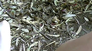 Mylene Johnson Mylene-johnson_kevin-white_terry_mo_01