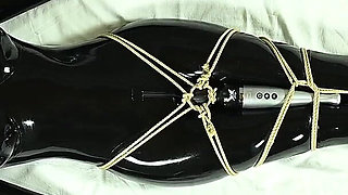 Bound and Vibed