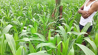 Bhabhi Ko Devar Ka Kala Mota Lund Aaya Lisand, Corn Field Me Bhabhi Ki Chudai Outdoor Hindi Audio