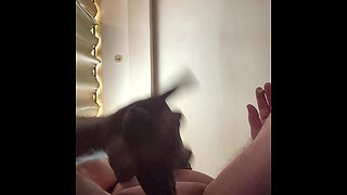 Film7743335555