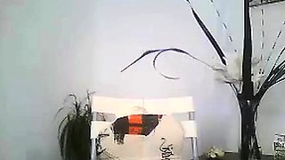 Skinny Mature Granny on Webcam