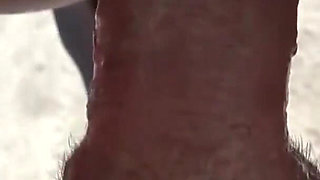 perverse anal creampies